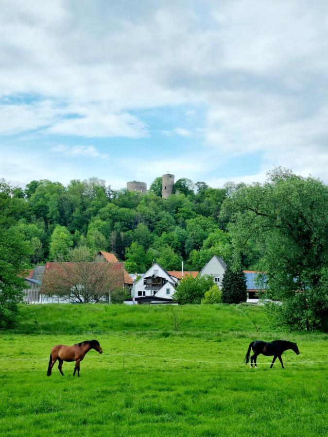 Ferienhaus Diemelaue Mit Klimaanlage Bad Karlshafen Εξωτερικό φωτογραφία